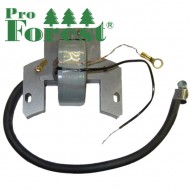  Puola Briggs & Stratton #298502