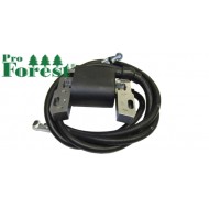  Puola Briggs & Stratton #394891