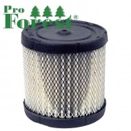  Ilmansuodatin Briggs & Stratton #396424