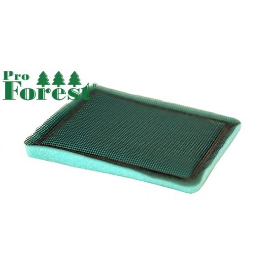 Esisuodatin Briggs & Stratton #491435S