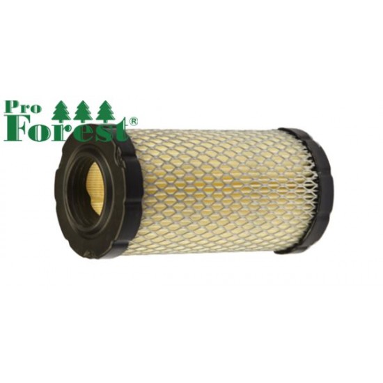  Ilmansuodatin Briggs & Stratton #793569