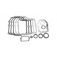  Tiivistesarja Briggs & Stratton #494241