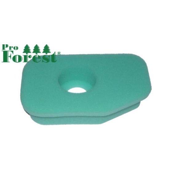  Ilmansuodatin Briggs & Stratton #270251