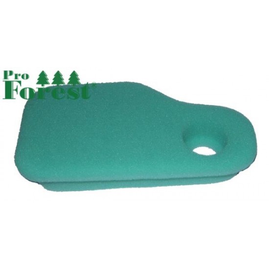  Ilmansuodatin Briggs & Stratton #270528S