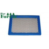 Ilmansuodatin Briggs & Stratton #397795S