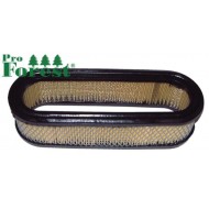 Ilmansuodatin Briggs & Stratton #394019S