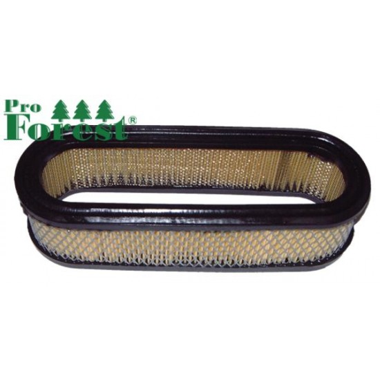 Ilmansuodatin Briggs & Stratton #394019S