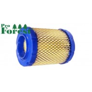  Ilmansuodatin Briggs & Stratton 3000-series