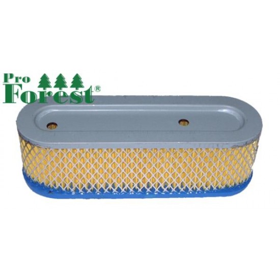 Ilmansuodatin Briggs & Stratton #399806S