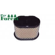  Ilmansuodatin Briggs & Stratton #697029