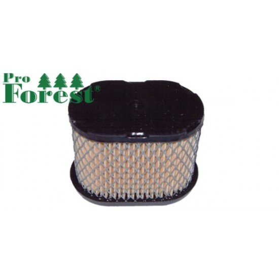Ilmansuodatin Briggs & Stratton #697029  Ilmansuodatin Briggs & Stratton #697029