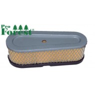  Ilmansuodatin Briggs & Stratton #691667