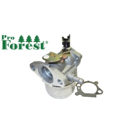 Kaasutin Briggs & Stratton #498965