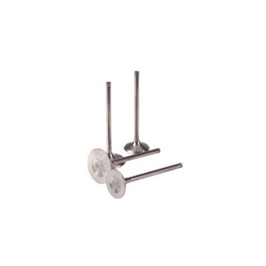  Pakoventtiili Briggs & Stratton #296676