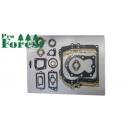  Tiivistesarja Briggs & Stratton #590777