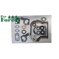  Tiivistesarja Briggs & Stratton #495603