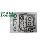  Tiivistesarja Briggs & Stratton #299577 (sis. stefat)