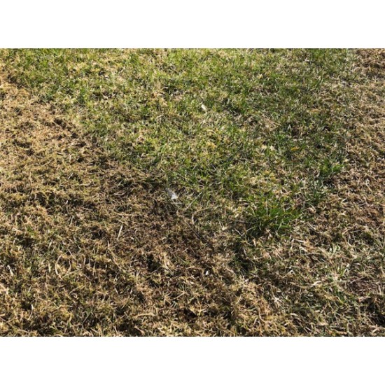  Ilmastointerä ruohonleikkuriin