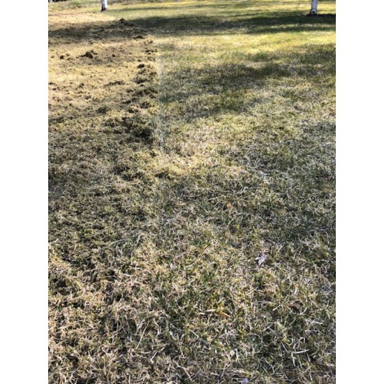  Ilmastointerä ruohonleikkuriin