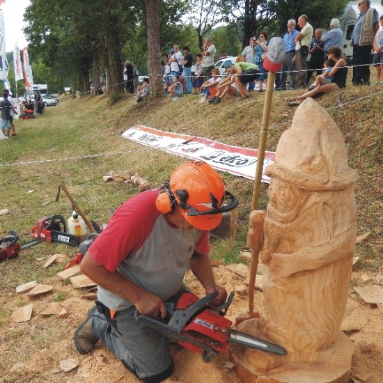 Efco MTT2500 puunhoitosaha